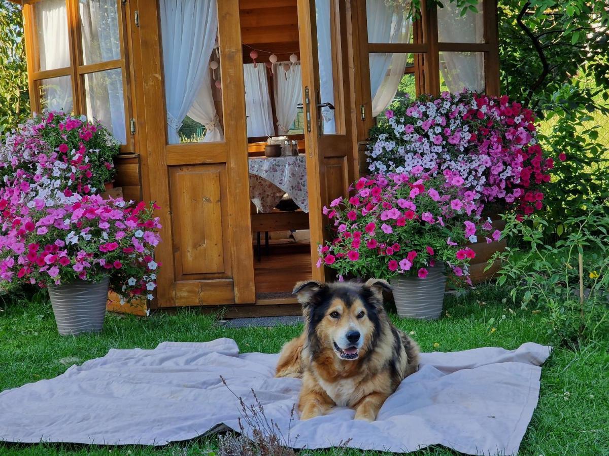 Appartamento Przystanek Pod Skalkami Lesko Esterno foto